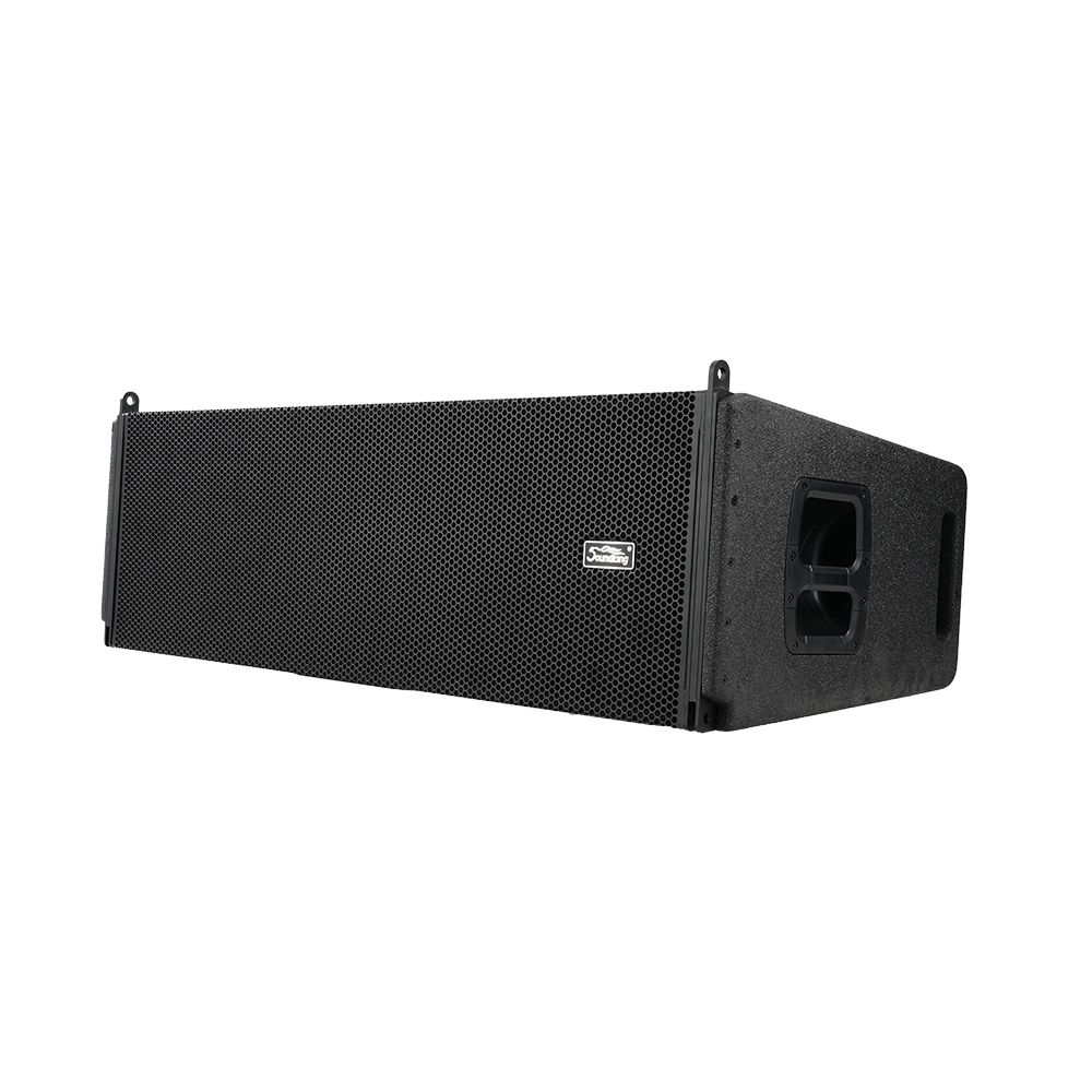 Loa line array Soundking GL212A