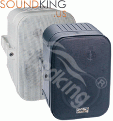 Loa thùng hội trường Soundking FP205T