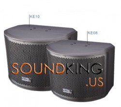 Loa Soundking KE08