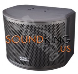 Loa Soundking KE10